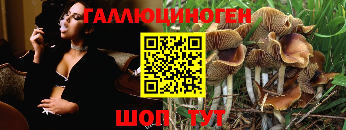 Псилоцибиновые грибы мухоморы Воткинск